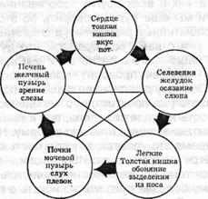 диагностика кармы по методу лечения 6 страница - student2.ru