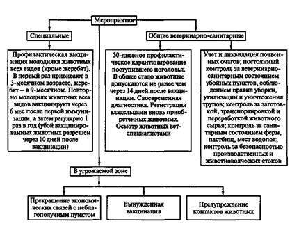 диагностика сибирской язвы - student2.ru