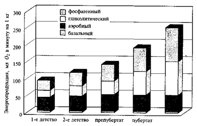 Динамика роста скелетных мышц - student2.ru