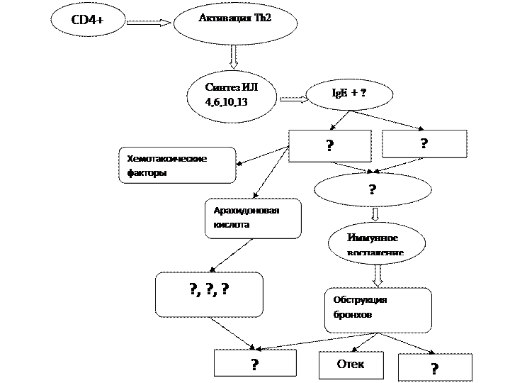 Дополните схему патогенеза бронхиальной астмы - student2.ru