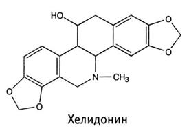 Другие названия: бородавник, чистуха, ласточкина трава, желтомолочник, глечкопар, чистоплот, подынник - student2.ru