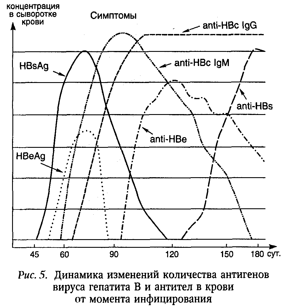 другие вирусные гастроэнтериты и диареи 4 страница - student2.ru