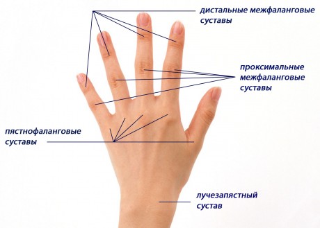 Движения позвоночного столба - student2.ru