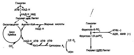 Дэниел У. Фостер (Daniel W. Foster) - student2.ru