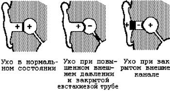 Дыхание, уши, судорога, холод. - student2.ru