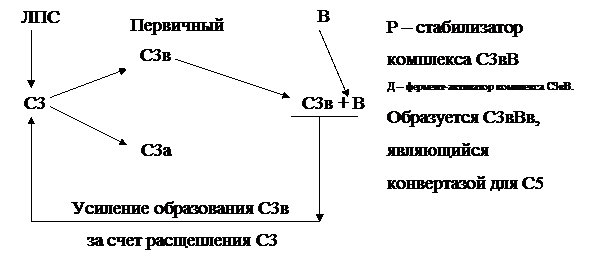 Факторы и механизмы неспецифической противоинфекционной - student2.ru