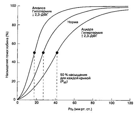 Факторы, влияющие на кривую диссоциации оксигемоглобина - student2.ru