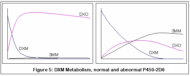 Факторы, влияющие на метаболизм DXM - student2.ru