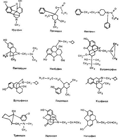 фармакодинамика и фармакокинетика наркотических анальгетиков - student2.ru