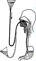 Fig.28. Sphygmomanometer: with spring manometer, with mercurial manometer - student2.ru