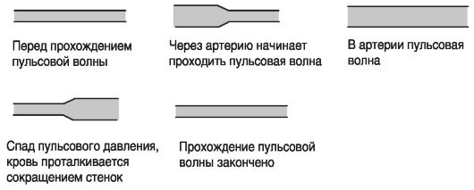 Физические основы гемодинамики. - student2.ru