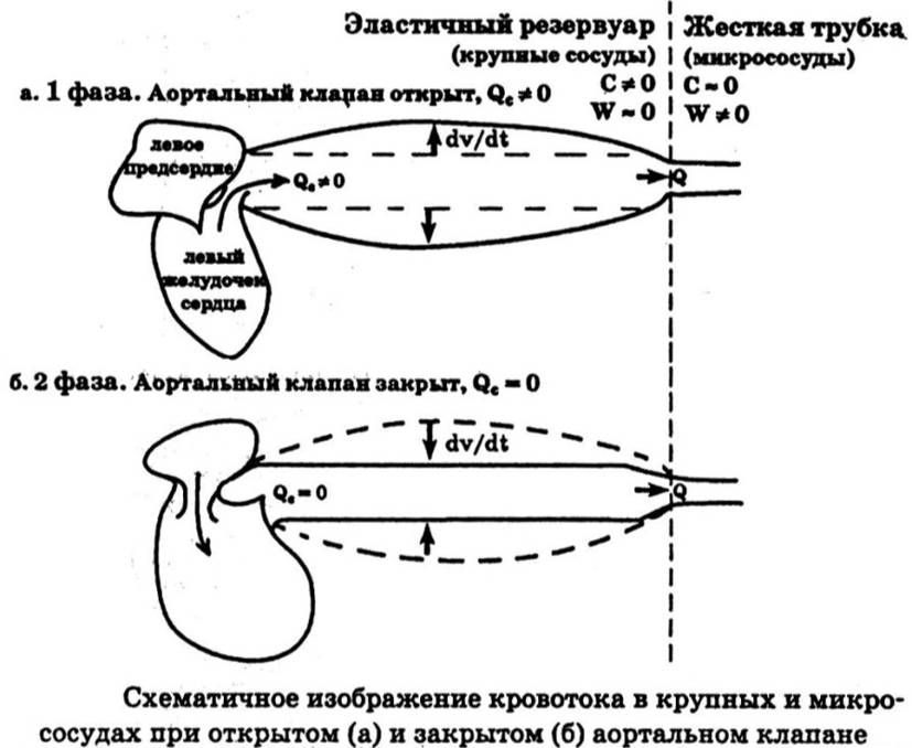 Физические основы гемодинамики - student2.ru