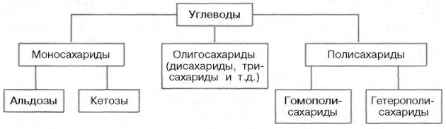 Физико-химические свойства углеводов - student2.ru