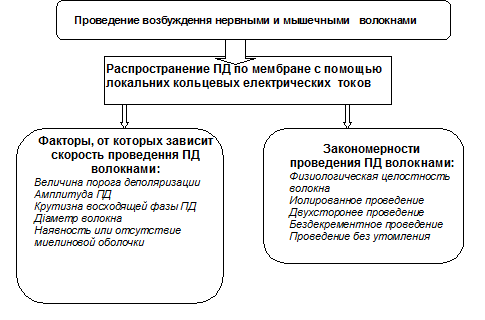 Физиологические механизмы миастении гравис (myastenia gravis) - student2.ru