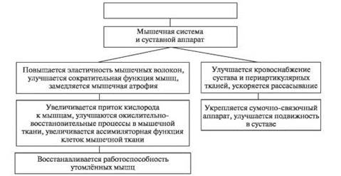 Физиологический механизм воздействия массажа на организм - student2.ru