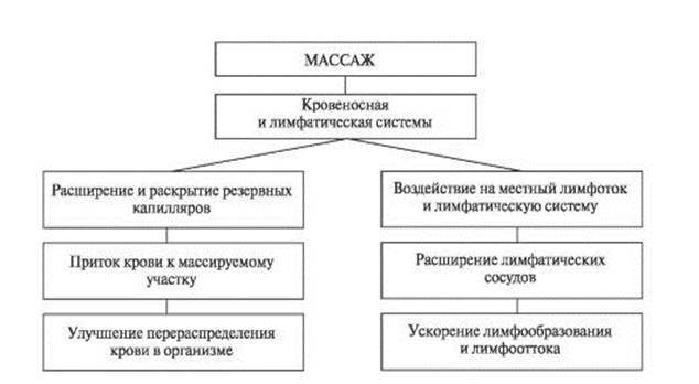 Физиологический механизм воздействия массажа на организм - student2.ru