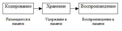 Фобии — врожденный защитный механизм - student2.ru