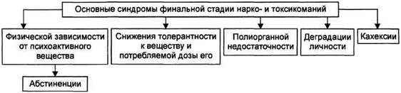 Формирование психической и физической зависимости - student2.ru