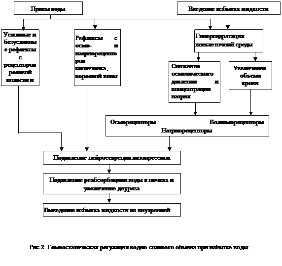 Формы обезвоживания в зависимости от дефицита воды и их основные проявления - student2.ru