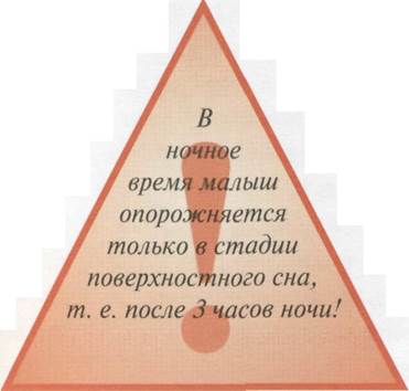 Функциональное становление выделительной системы - student2.ru