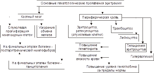 Гематологические проявления эритремии - student2.ru