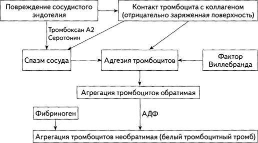 Геморрагический синдром. ДВС-синдром - student2.ru