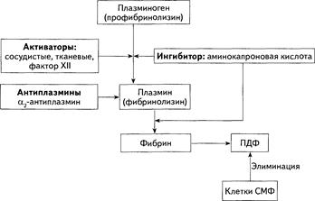 Геморрагический синдром. ДВС-синдром - student2.ru