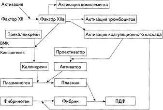 Геморрагический синдром. ДВС-синдром - student2.ru