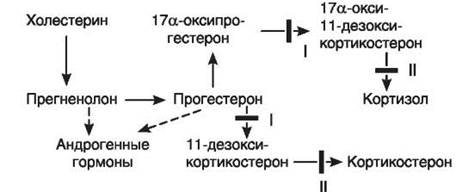 Генетически обусловленные дефекты биосинтеза гормонов - student2.ru