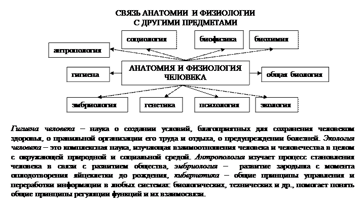 глава 1.2. человек как предмет изучения анатомии и физиологии - student2.ru