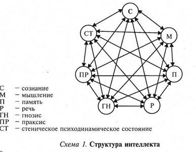 глава 1. интеллект и высшие мозговые функции - student2.ru