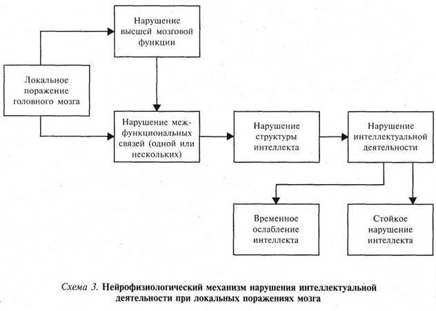 глава 1. интеллект и высшие мозговые функции - student2.ru