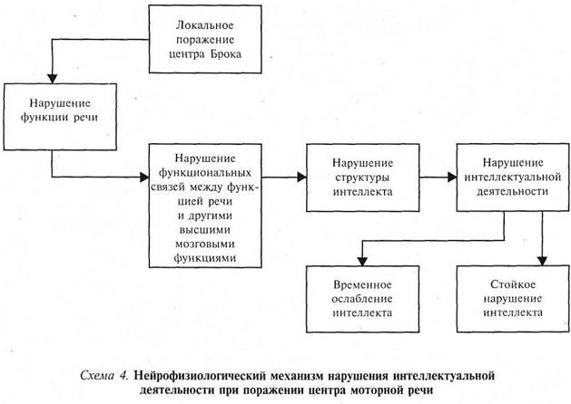 глава 1. интеллект и высшие мозговые функции - student2.ru