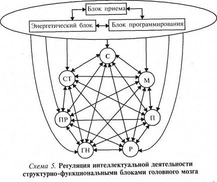 глава 1. интеллект и высшие мозговые функции - student2.ru