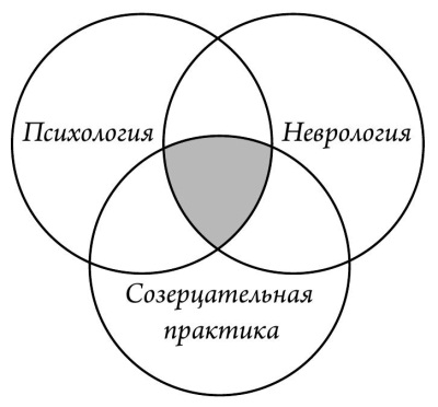 Глава 1 Мозг, преобразующий сам себя - student2.ru