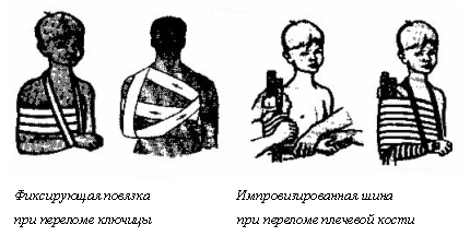 глава 1. основы медицинских знаний как содержательная линия основ безопасности жизнедеятельности - student2.ru