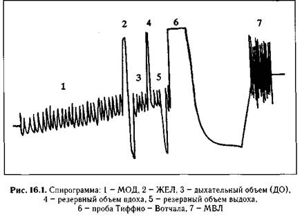 глава 16 органы системы дыхания - student2.ru