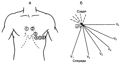 глава 178. электрокардиография - student2.ru