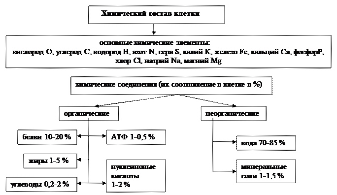 глава 2.1. основы цитологии. клетка. - student2.ru