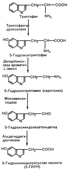 глава 299. карциноидный синдром - student2.ru