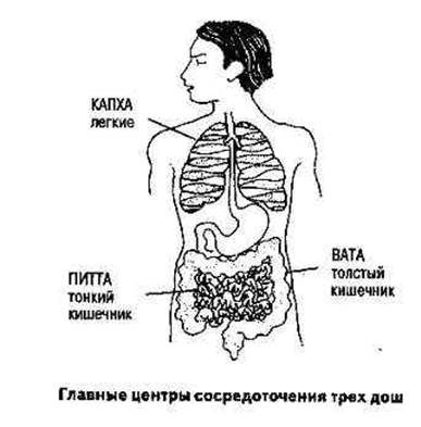 Глава четвертая. ФОРМЫ ДОШ - student2.ru