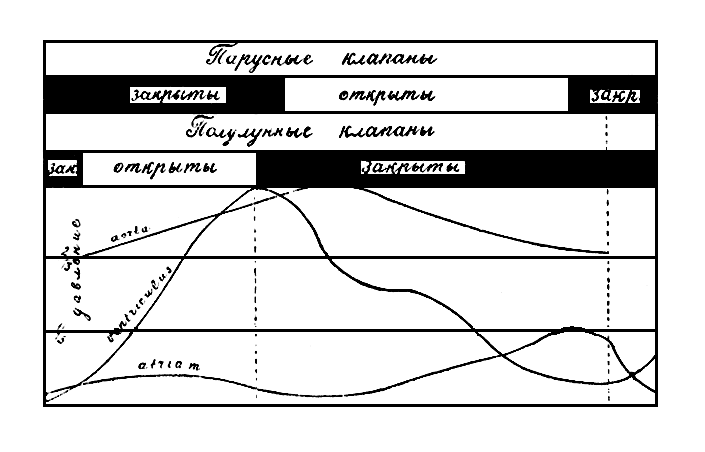 глава первая. работа сердечных клапанов. сердечные тоны и шумы - student2.ru