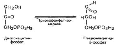 Гликолиз. Аэробный путь расщепления углеводов. Энергетика процессов. - student2.ru