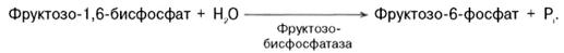 Глюконеогенез, источники, механизм и регуляция процесса. - student2.ru