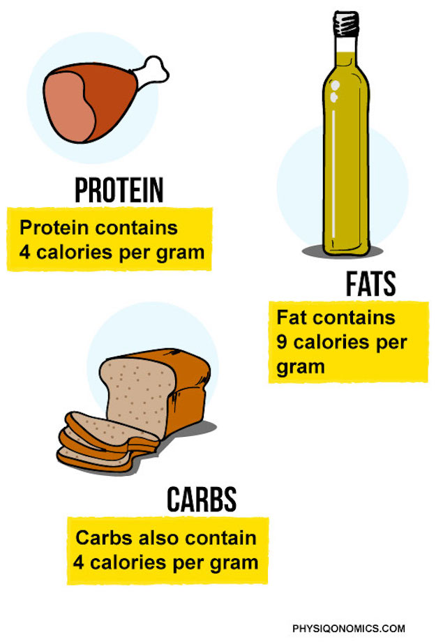 Грамм белка содержит 4 калории, грамм жира – 9 калорий, грамм углеводов – 4 калории. - student2.ru