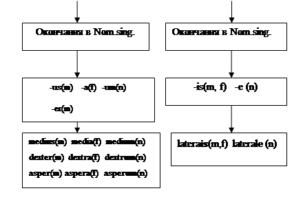 Словарная форма существительных - student2.ru