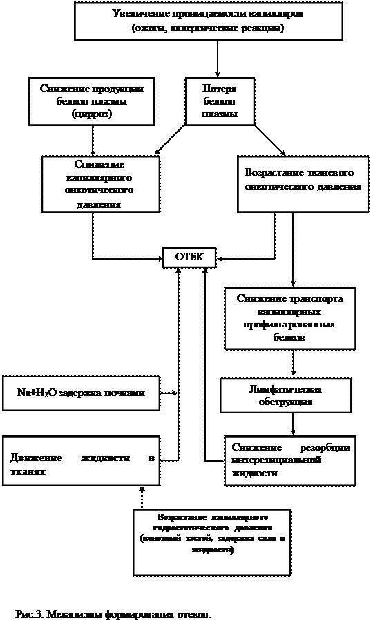 Ii. 2. 3. гиперосмолярная гипергидратация - student2.ru