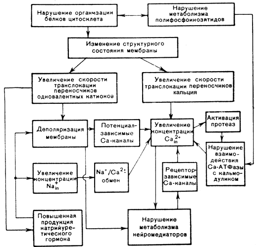 II.Нарушение проведения импульсов - student2.ru