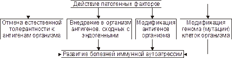 Иммунонезависимые болезни иммунной аутоагрессии - student2.ru