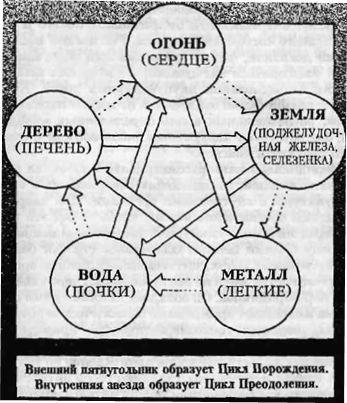 Инь-ян и пять элементов: китайский взгляд на природу - student2.ru